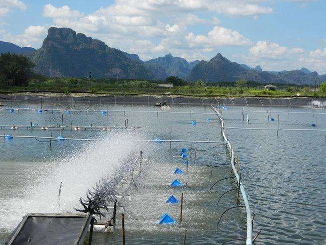 水產養殖增氧用羅茨風機