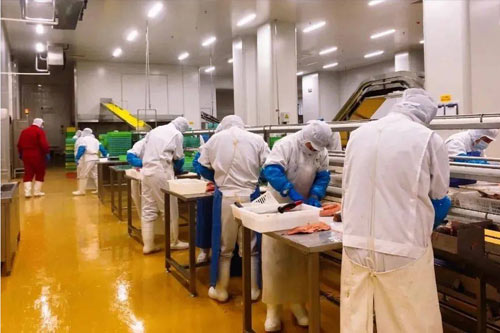 食品行業羅茨風機應用